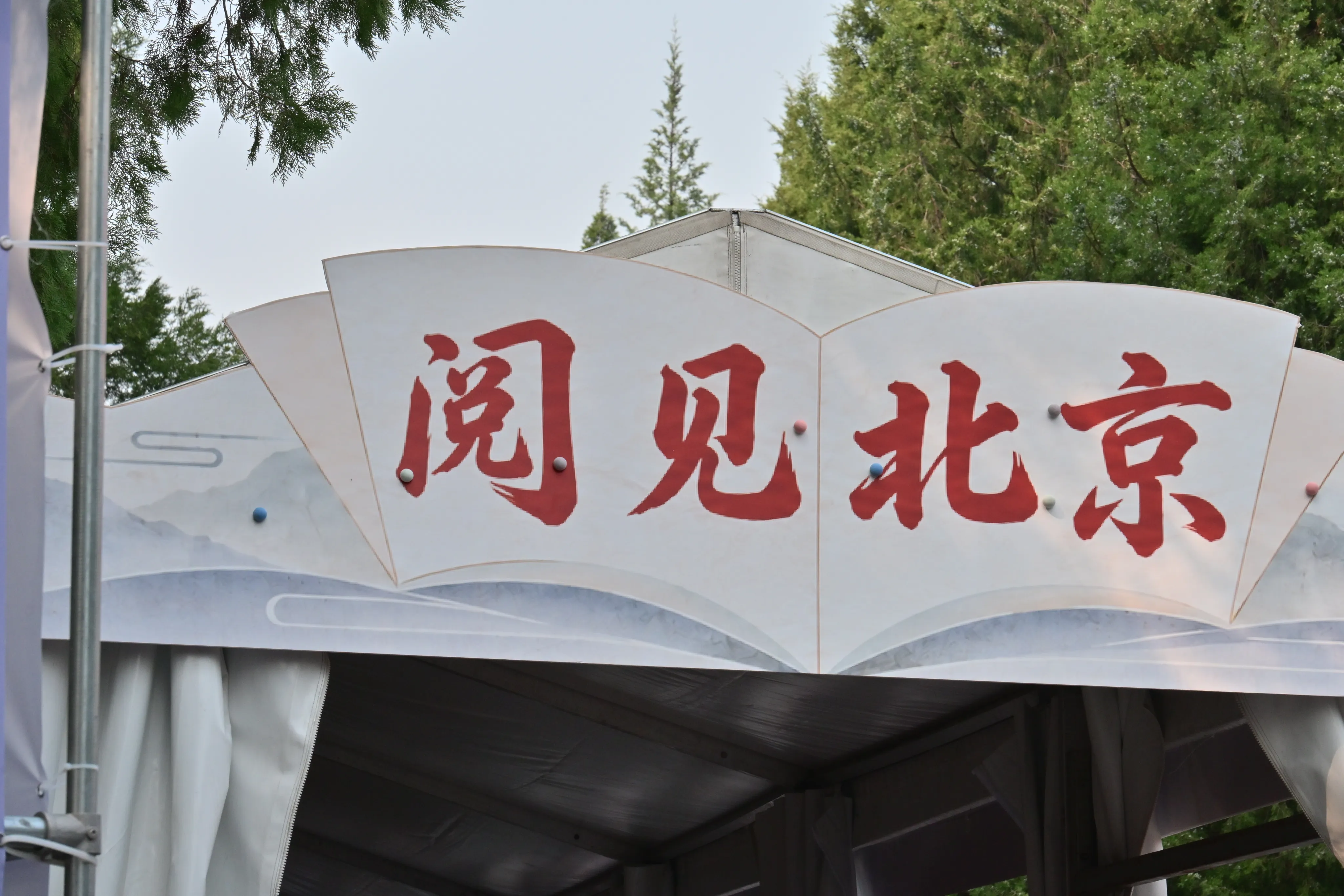 20260919232059-NKZ_0179-0btr5vsi-0exzl.webp