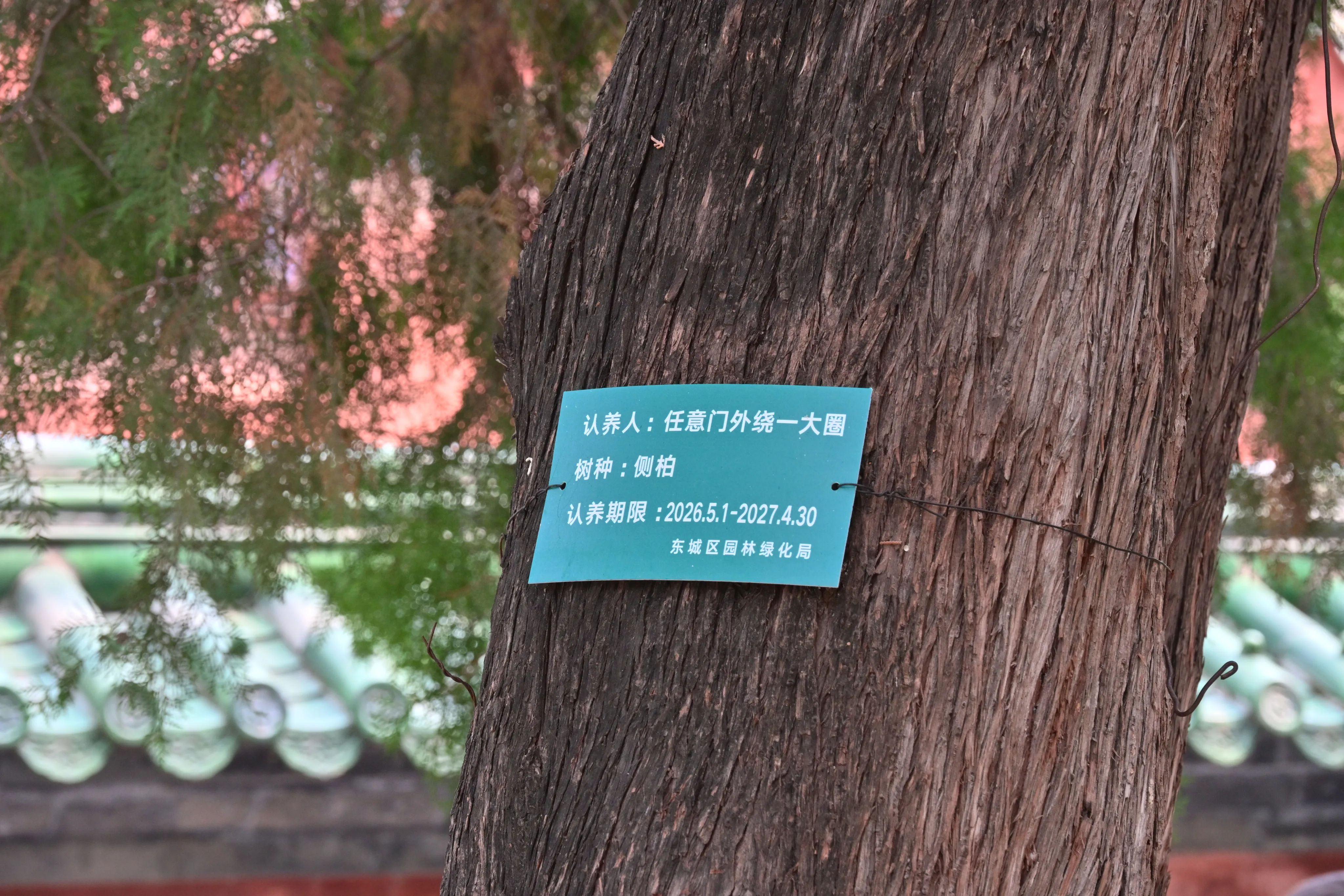 20260919232111-NKZ_0198-2i7gxadk-xov77.webp