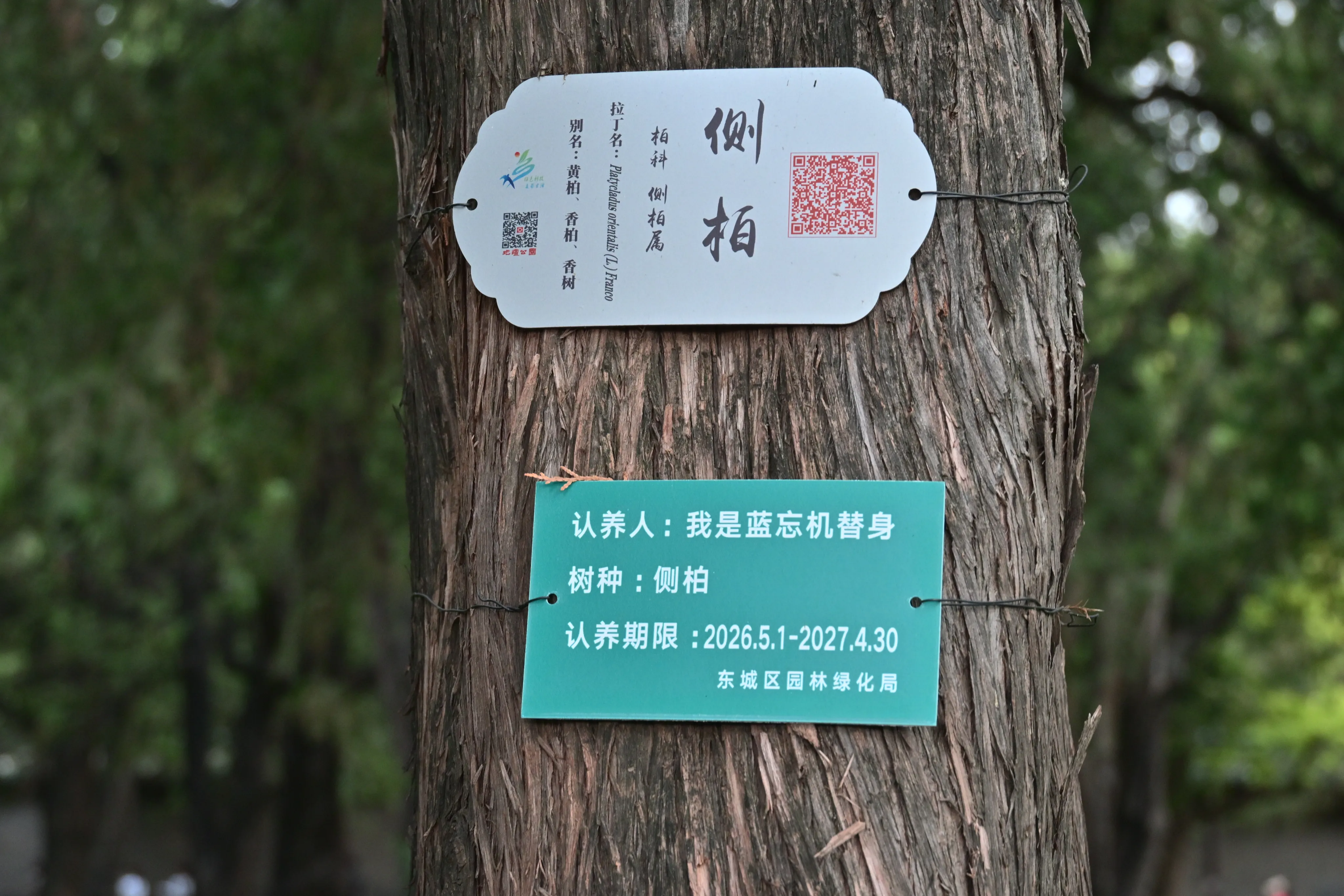 20260919232139-NKZ_0233-welphvtz-j0w58.webp