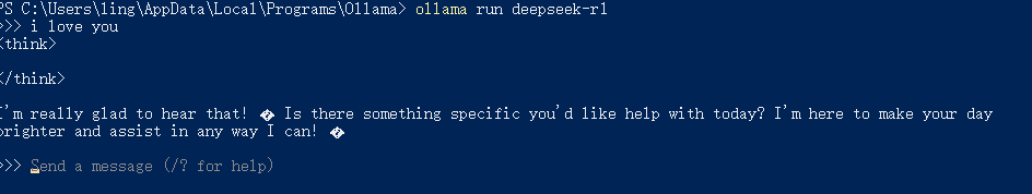 部署本地ai大模型简易教程