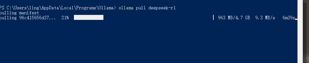 部署本地ai大模型简易教程