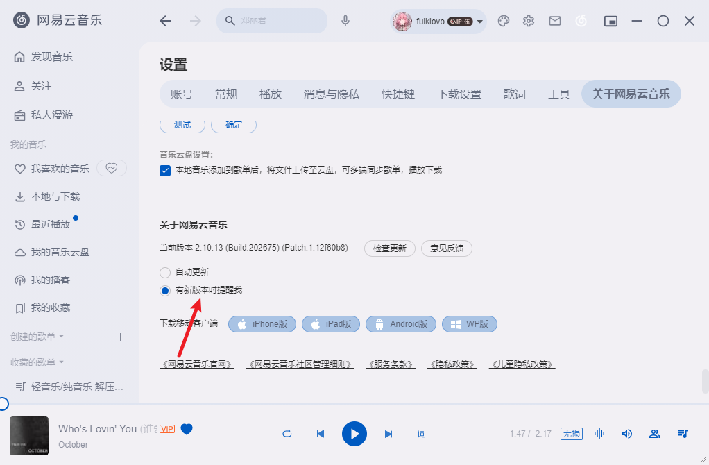 betterncm美化并优化网易云